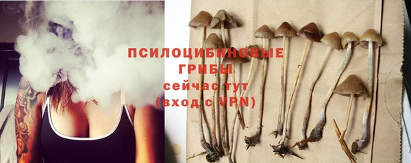 прущие крисы Алексин