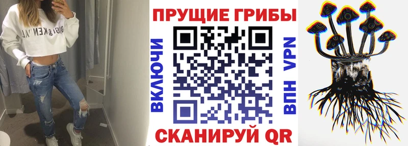 кракен как зайти  купить наркотик  Белореченск  Псилоцибиновые грибы Psilocybine cubensis 